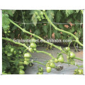 Plastic bi-oriented garden plant support trellis net supporting fruit climbing net